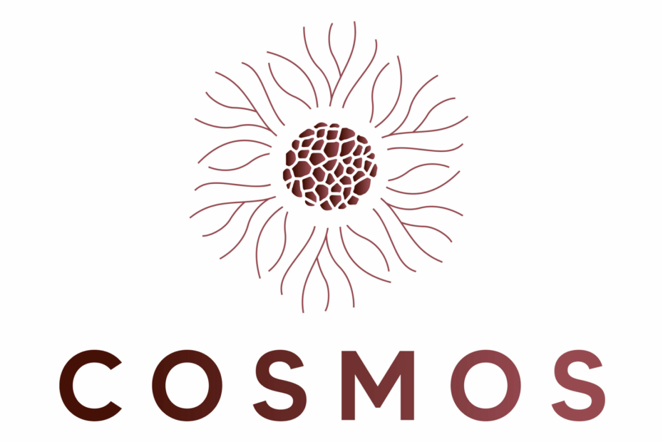 Logo COSMOS