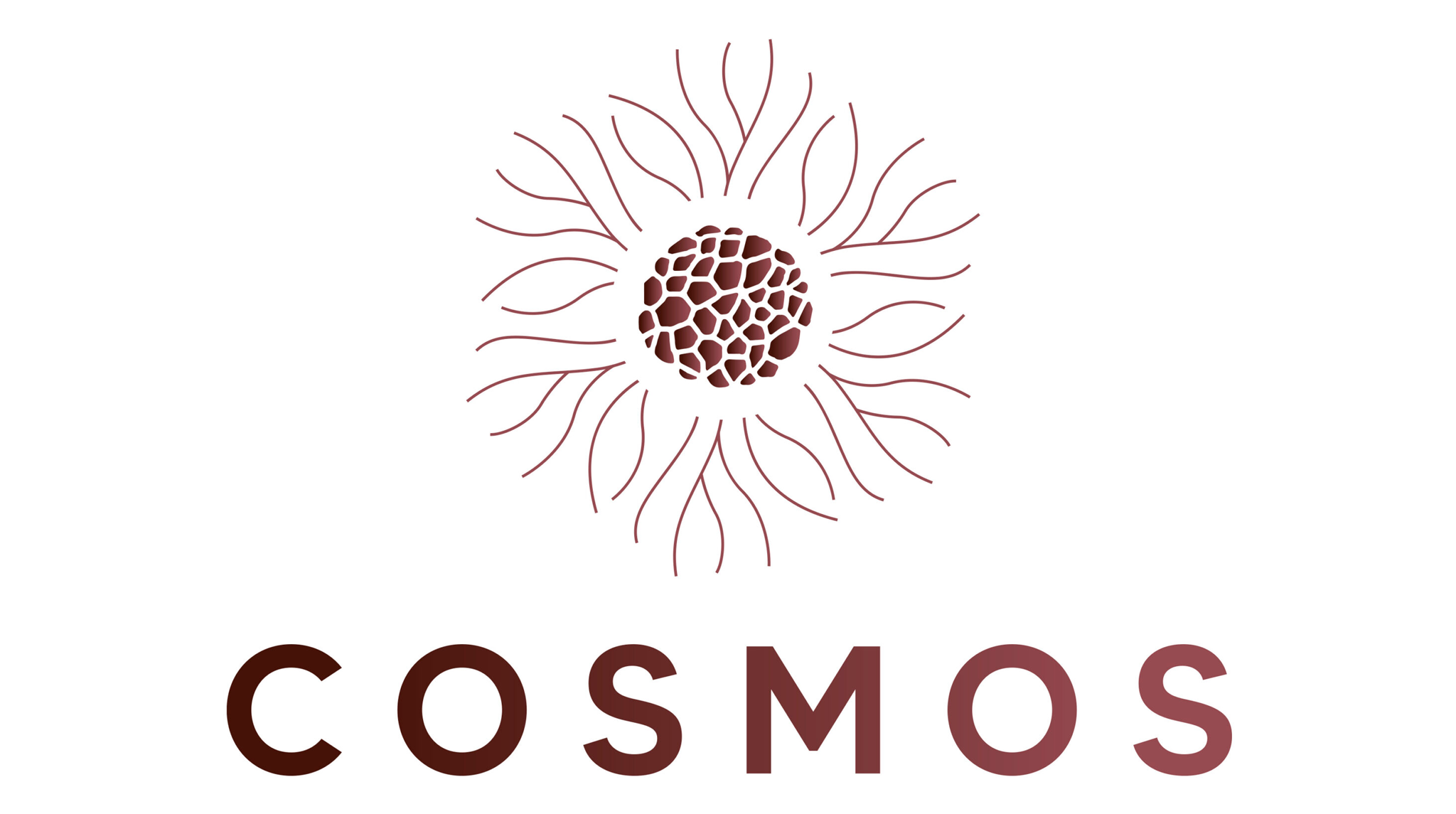 Logo COSMOS