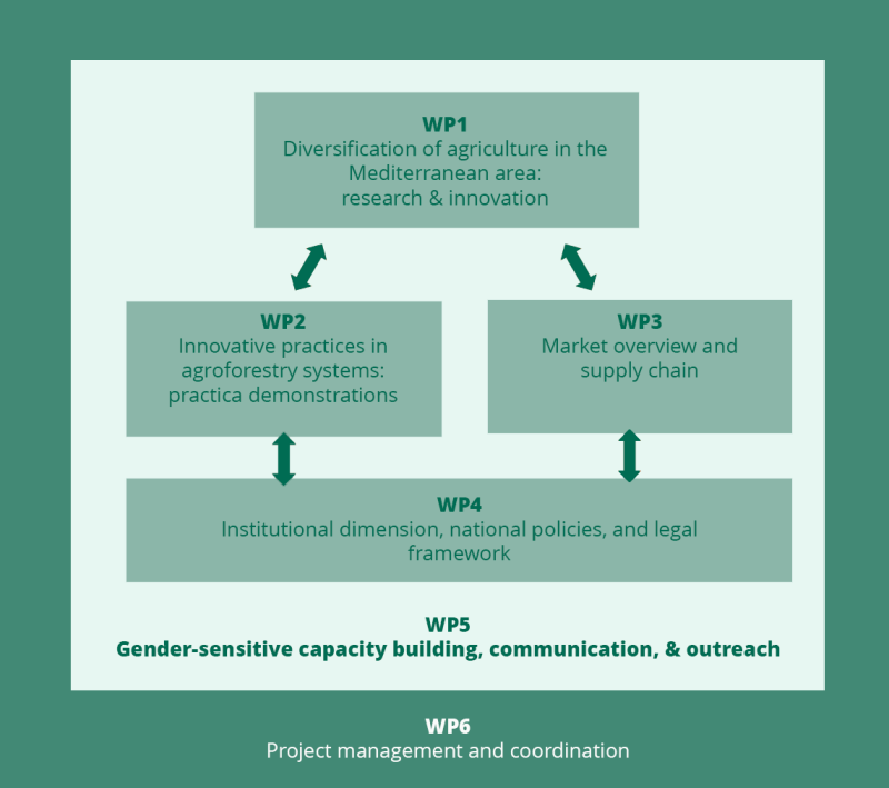 figura - 1WP Structure